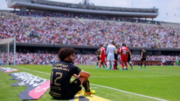 pumas
